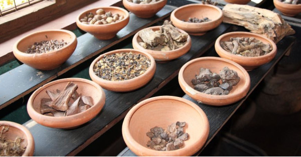 Erbe Ayurvediche: Quali Sono, Proprietà e Come Utilizzarle