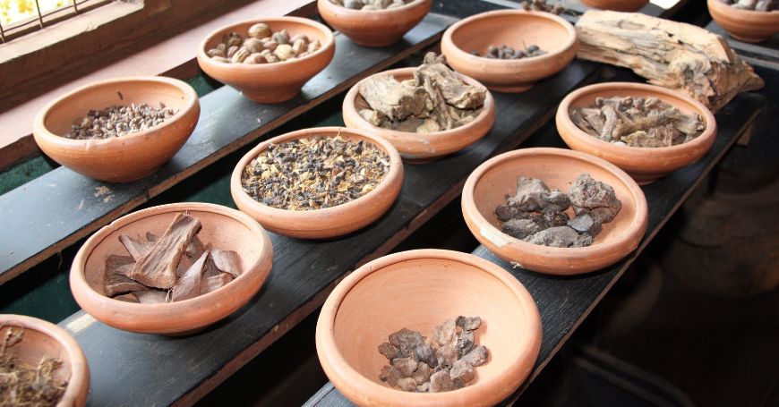 Erbe Ayurvediche: Quali Sono, Proprietà e Come Utilizzarle