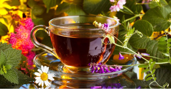10 Tisane per Eliminare l'Acido Urico in Modo Naturale