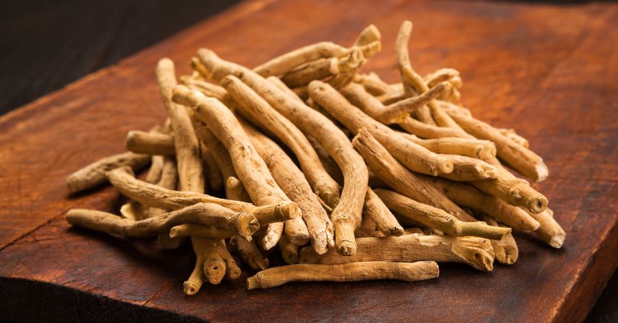 Ashwagandha (Withania somnifera): Benefici, Proprietà e Uso del Ginseng Indiano