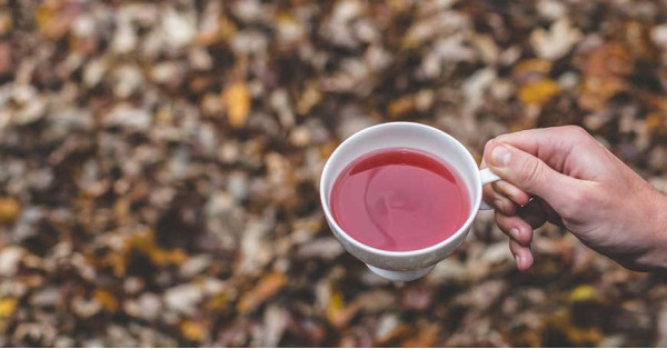 Come fare tisane da portare con sé fuori casa