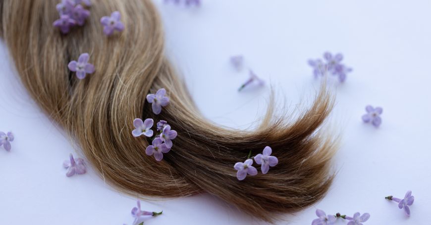 Erbe Ayurvediche per Capelli: Guida Completa a Proprietà, Usi e Rimedi Naturali
