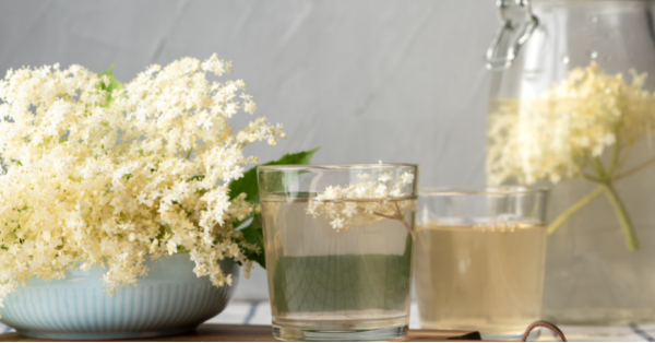Fiori di Sambuco: Proprietà, Usi in Cucina e Ricette