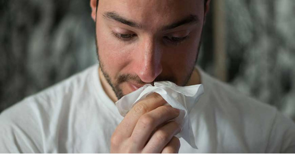 Tisane per il Raffreddore: I Migliori Infusi e Rimedi Naturali 