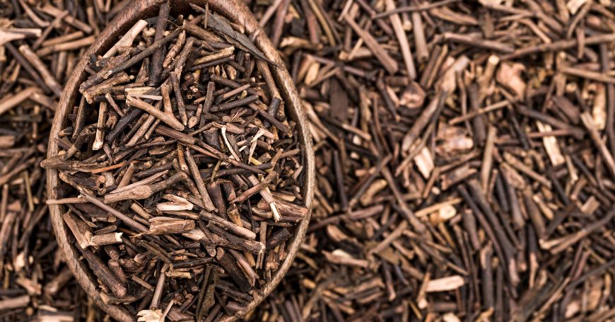 Tè Kukicha: Cos'è, Proprietà, Benefici e Controindicazioni