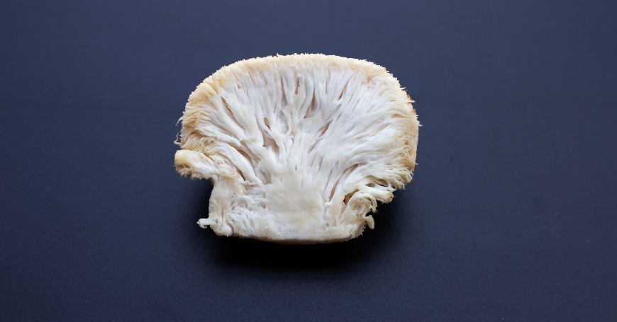 Lion's Mane: Come Usarlo, Come Assumerlo, Ricette e Usi in Cucina