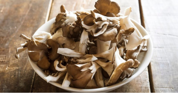 Maitake (Grifola Frondosa): Proprietà, Benefici e Ricette