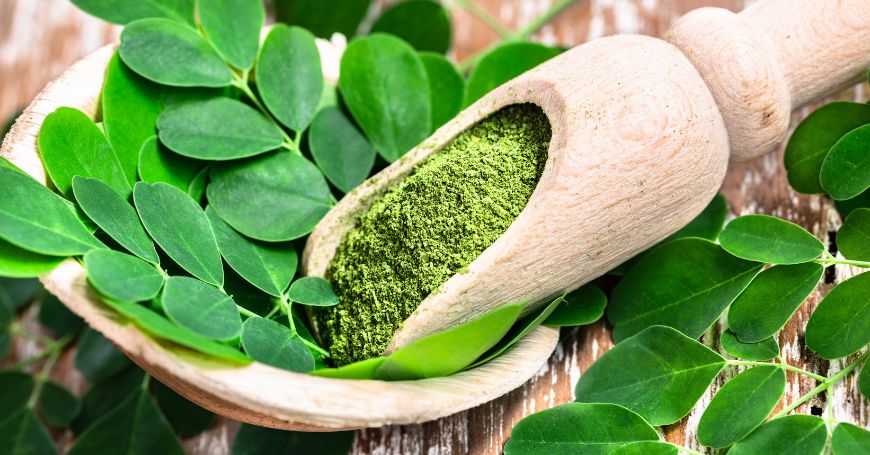 Moringa (Moringa Oleifera): Eigenschaften, Vorteile und wofür es gut ist