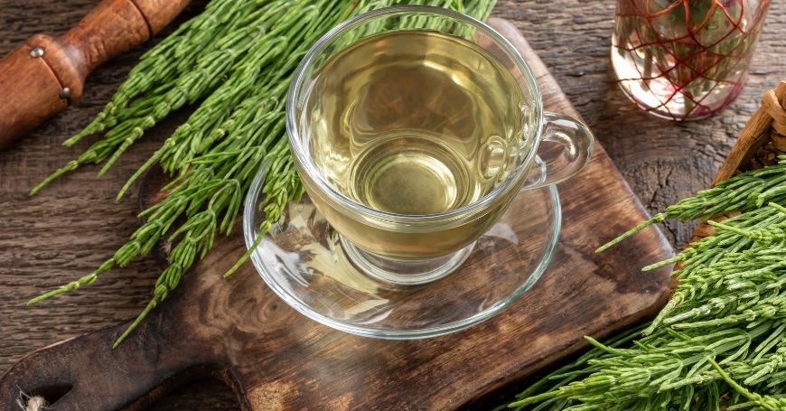 Osteoporosi: Rimedi Naturali e Tisane per Ossa Deboli
