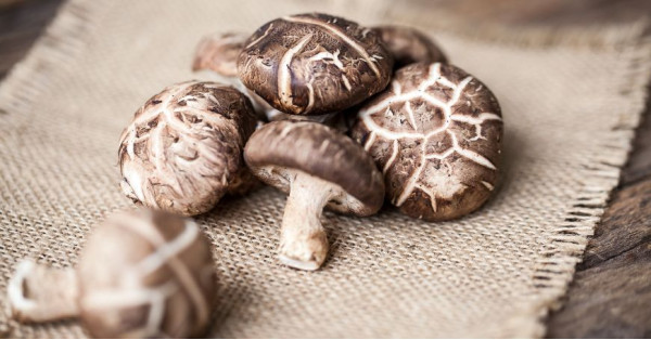 Funghi Shiitake: Proprietà, Benefici, Ricette e Controindicazioni