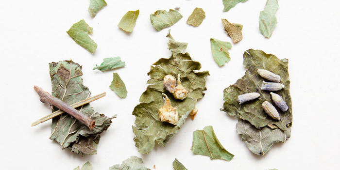 Tisane erbe officinali