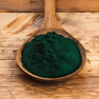 Alga Spirulina (Arthrospira platensis) 