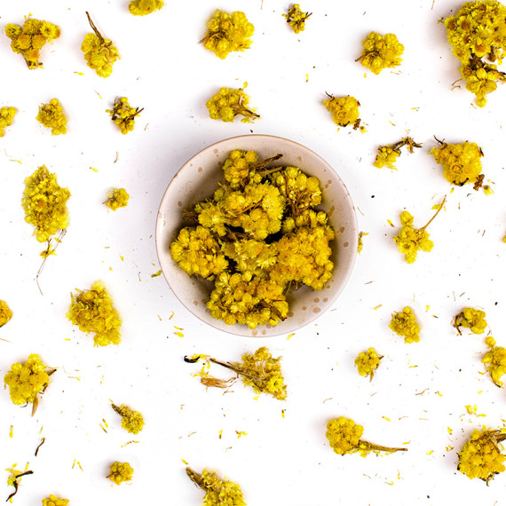 Elicriso Fiori Eduli | Helichrysum italicum