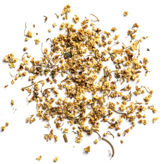 Fiori di Sambuco (Sambucus nigra)