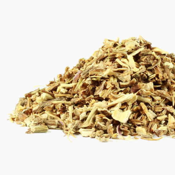 Angelica radice (Angelica archangelica)