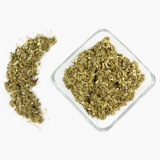 Gemeiner Beifuß (Artemisia vulgaris) – Blühende oberirdische Pflanzenteile