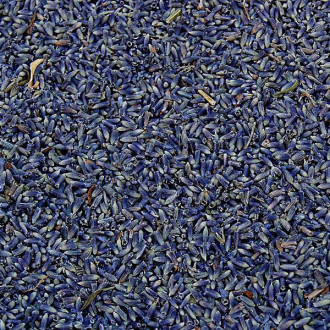 Lavanda, fiori, Provenza