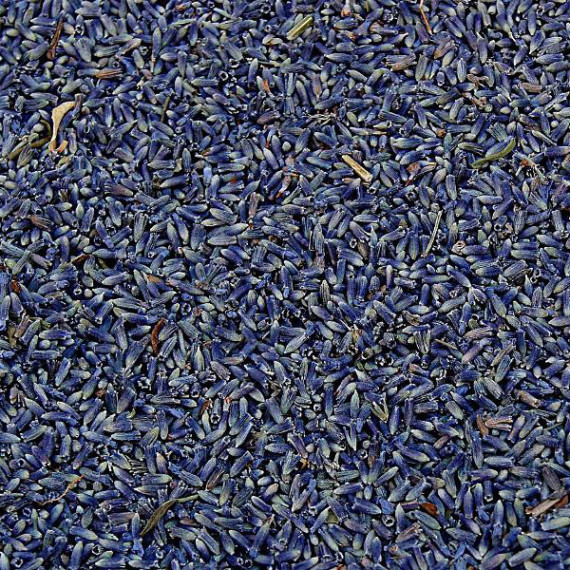 Lavanda, fiori, Provenza