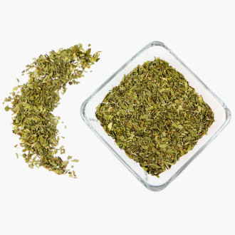 Menta dolce (Mentha spicata) – Selezione Extra