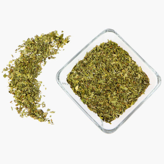 Menta dolce (Mentha spicata) – Selezione Extra