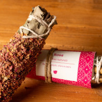 Smudge di petali di Rosa