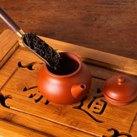 Teiera da Gong Fu Cha Master Shen #6