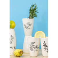 Taza Anisa 200 ml mediana