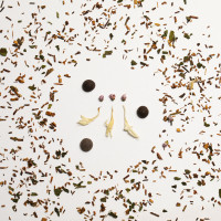 Rooibos Menta & Cioccolato