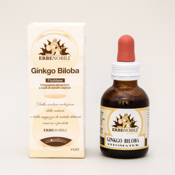 Ginkgo Biloba