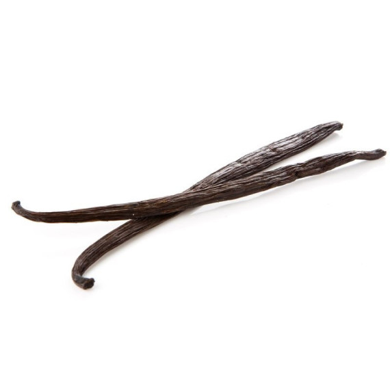Vaniglia Bourbon Madagascar