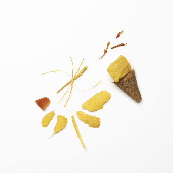 Raggio di sole -tisana di frutta e curcuma-