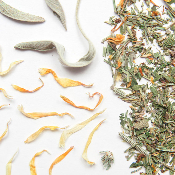 Tisana di venere -finocchio, menta e salvia-
