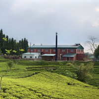 Himalaya Schönheit Weiß