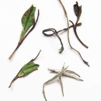 Pai Mu Tan