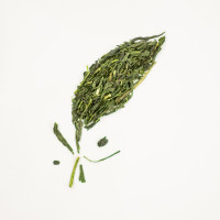 Sencha Yukatamidori Premium 