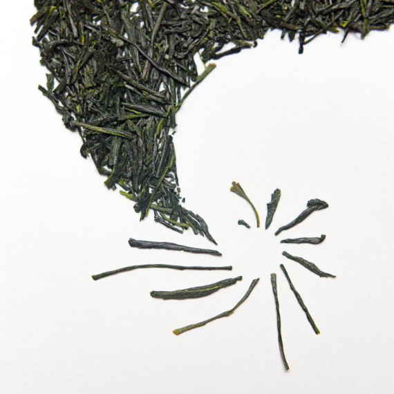Shincha Kabusecha Saemidori 