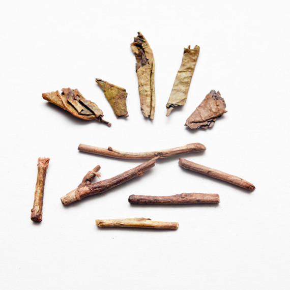 tè houjicha